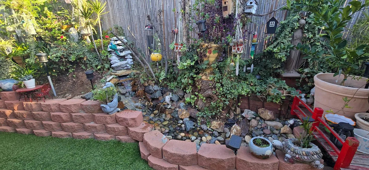 Pecan Park, Space 100