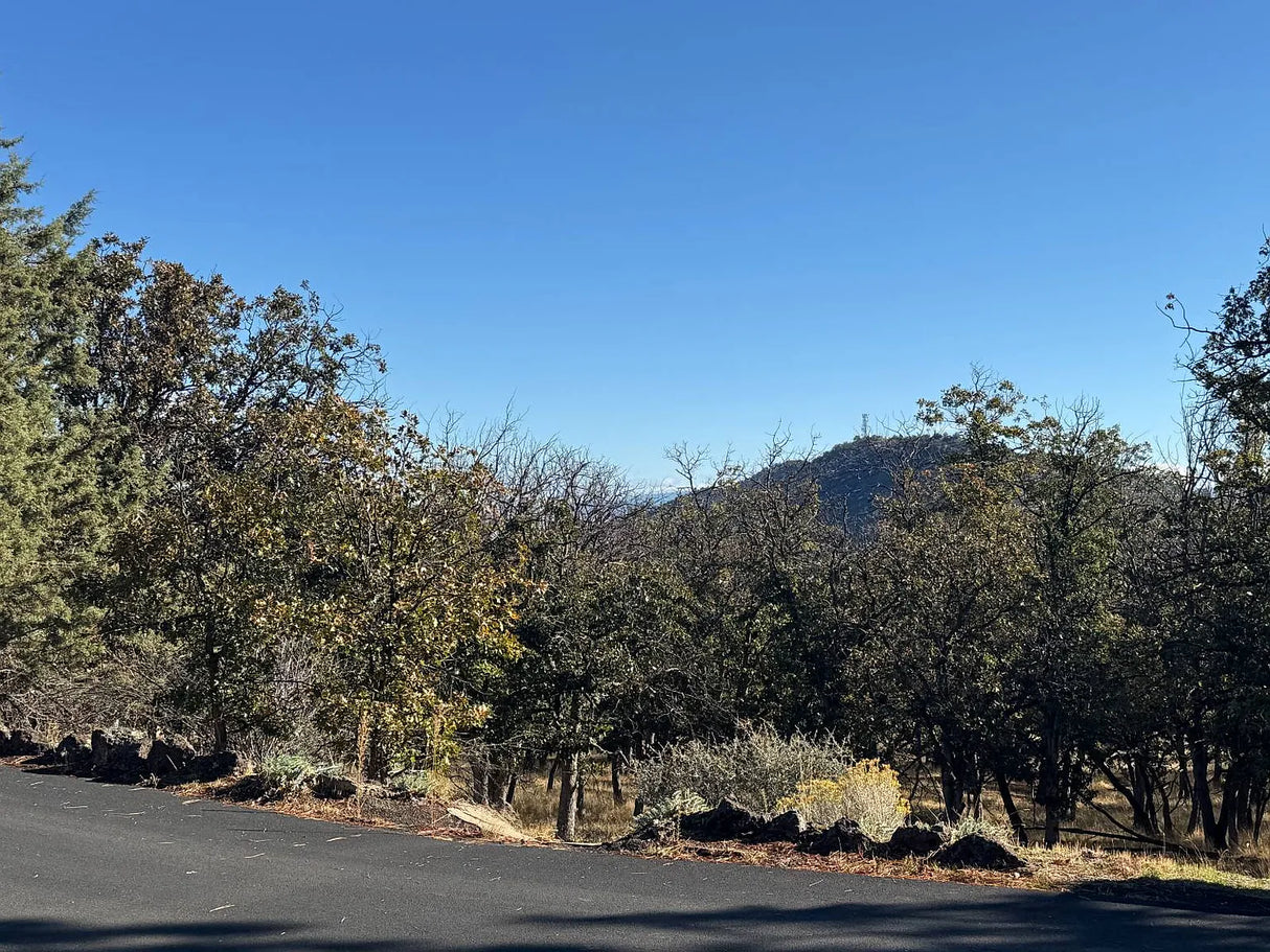 Oakridge Mobile Estates, Space 98