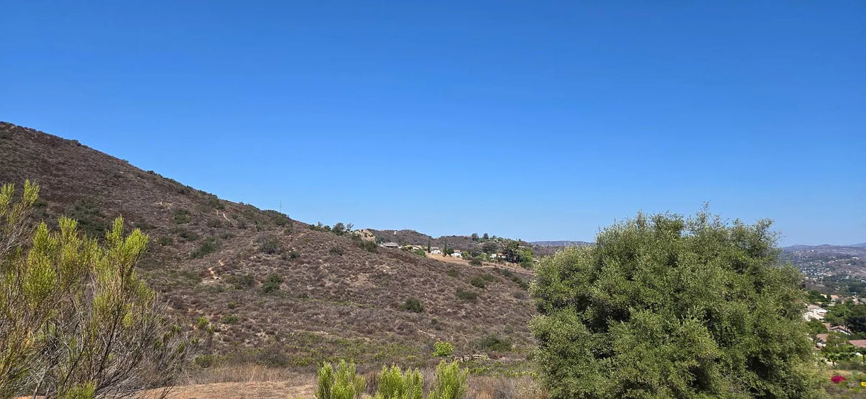 Terrace View, Space 117