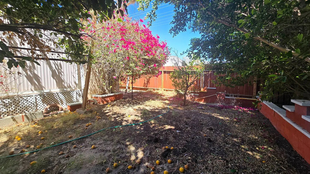 Palm Drive Court, Space D2