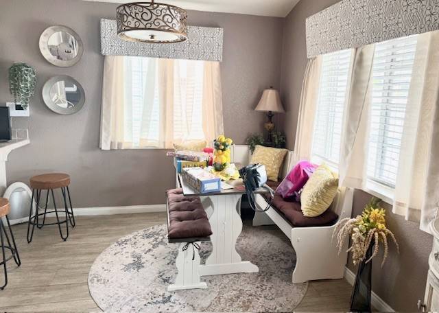 Cypress Hills, Space 66