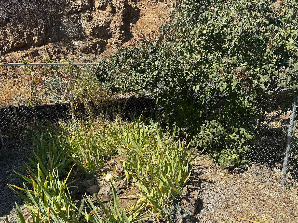 Oakridge Mobile Estates, Space 38