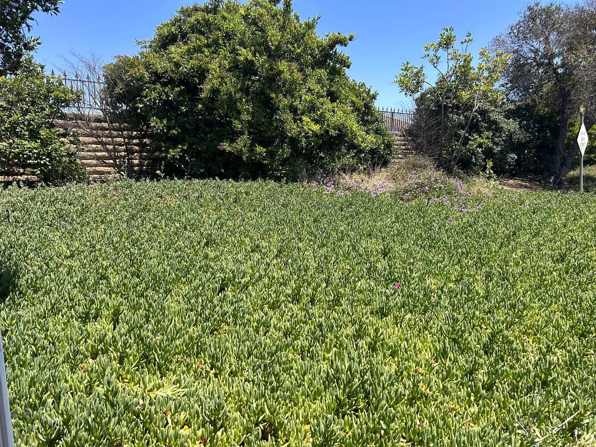 Vista Cascade, Space 128