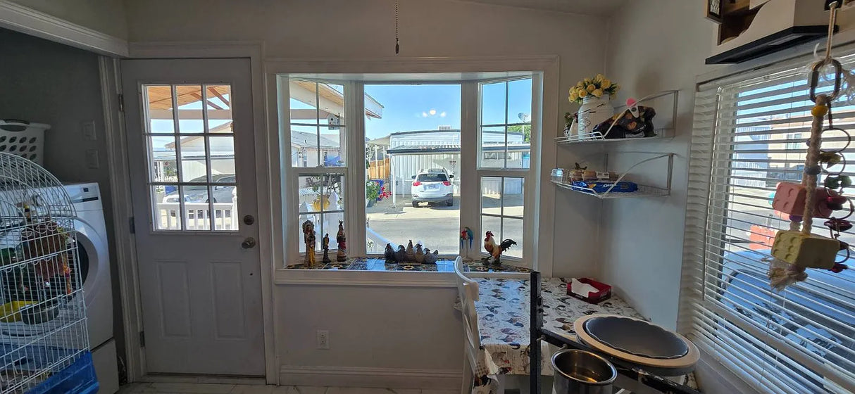 Pecan Park, Space 100