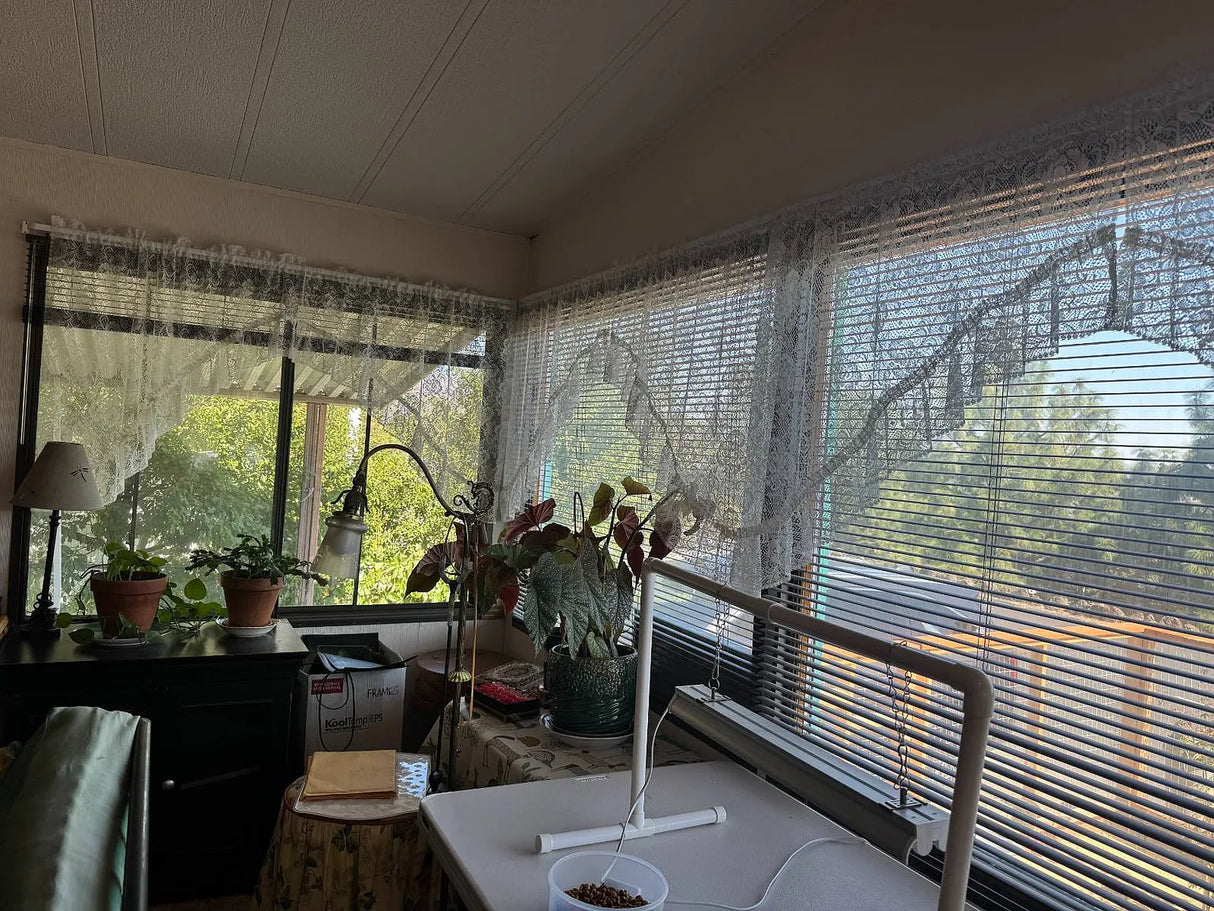 Oakridge Mobile Estates, Space 38