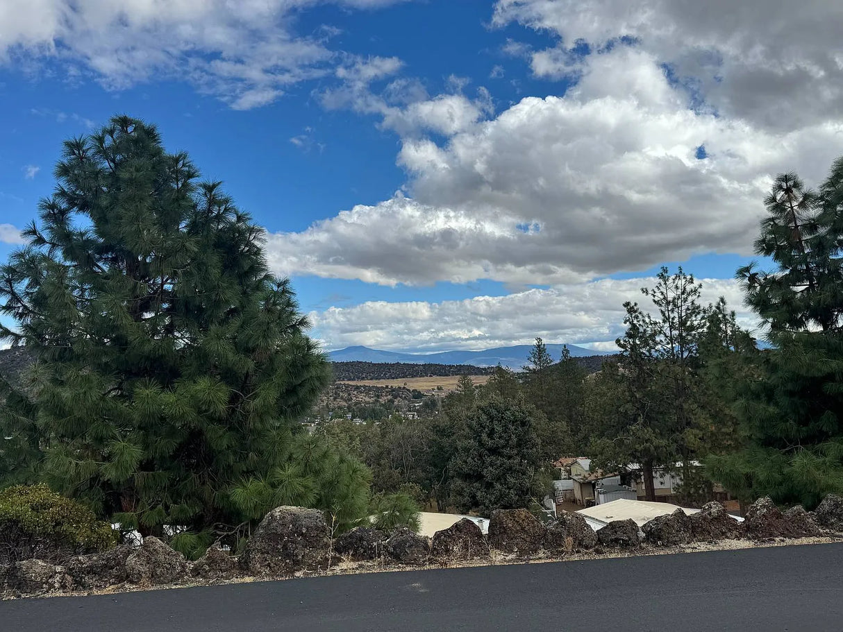 Oakridge Mobile Estates, Space 98