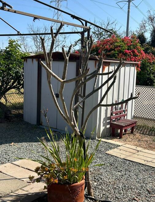Lynnwood South Mobile Estates, #57