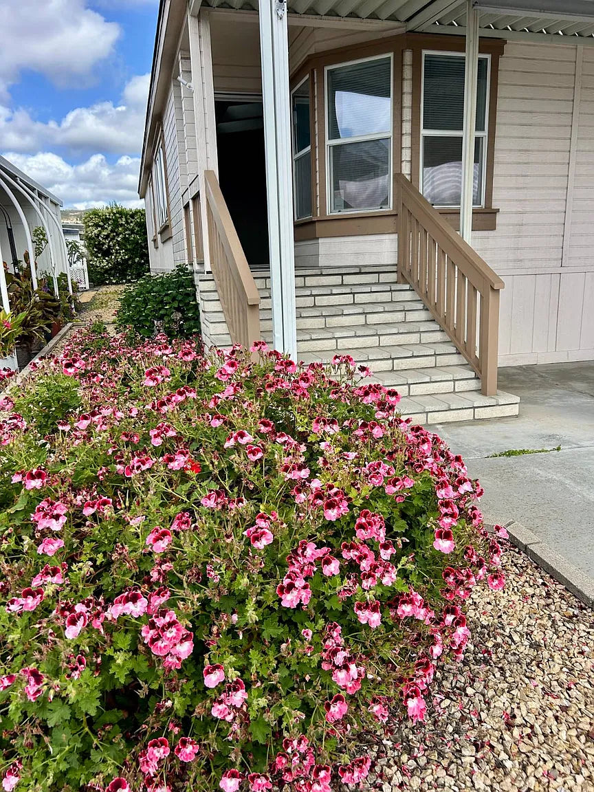 Vista Cascade, Space 38