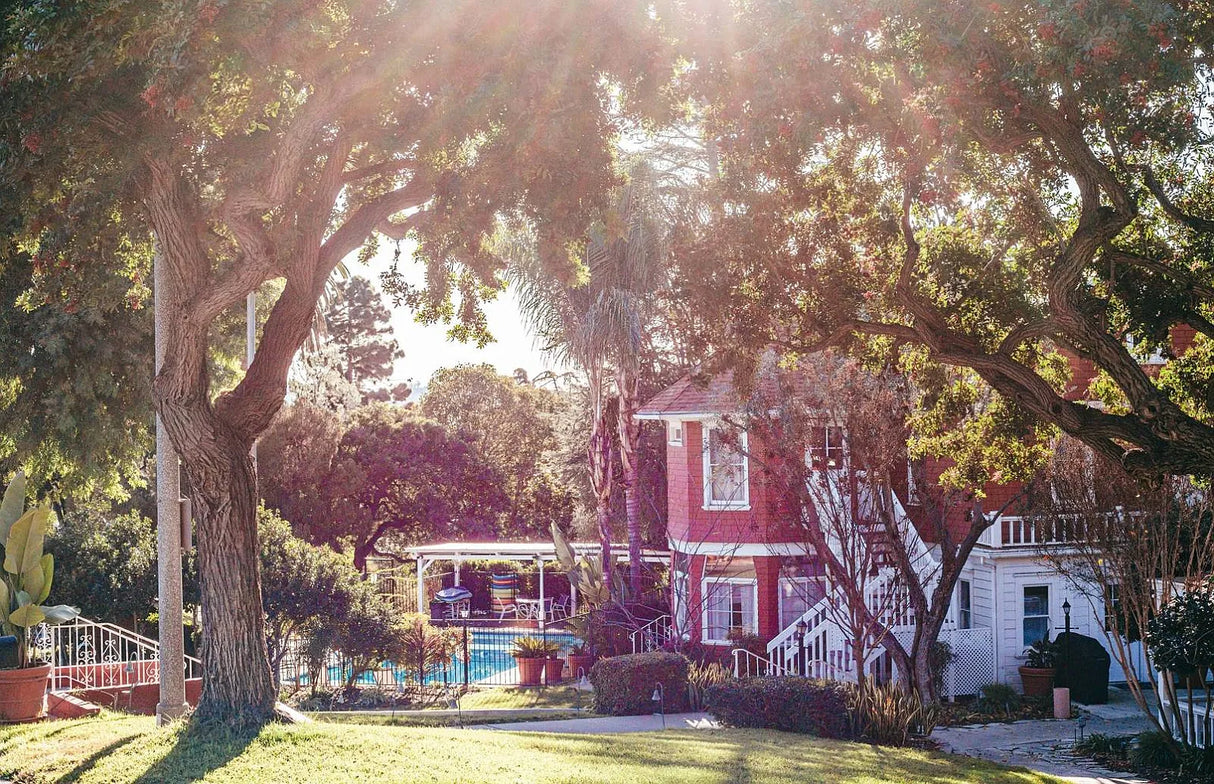 Pepperwood, Space 11