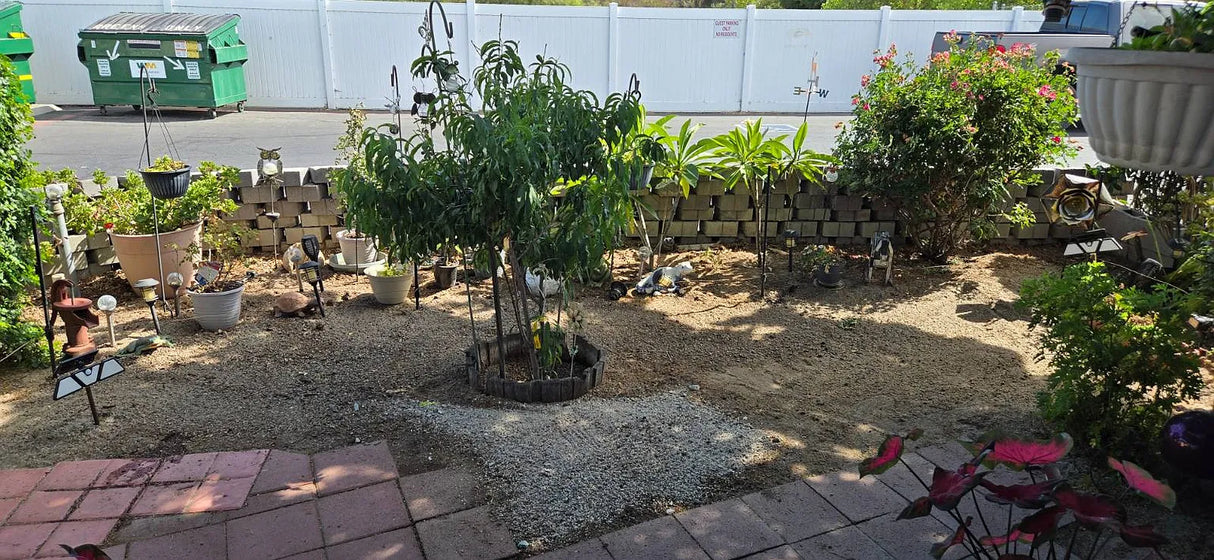 Santee Mobile Estates, Space 17