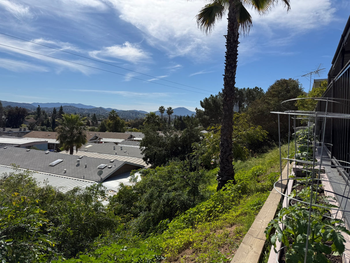 Rancho Valley, Space 64