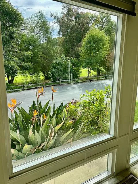 Valley Oaks, Space 157