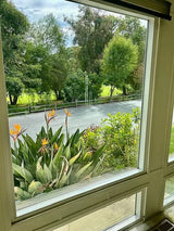 Valley Oaks, Space 157