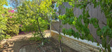 Lakeside View Estates, Space 24
