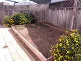 Lakeshore Gardens #113