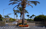 Lakeshore Gardens #113