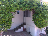 Lakeshore Gardens #113
