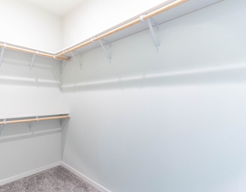 Pacific Chestnut 10 walk in closet