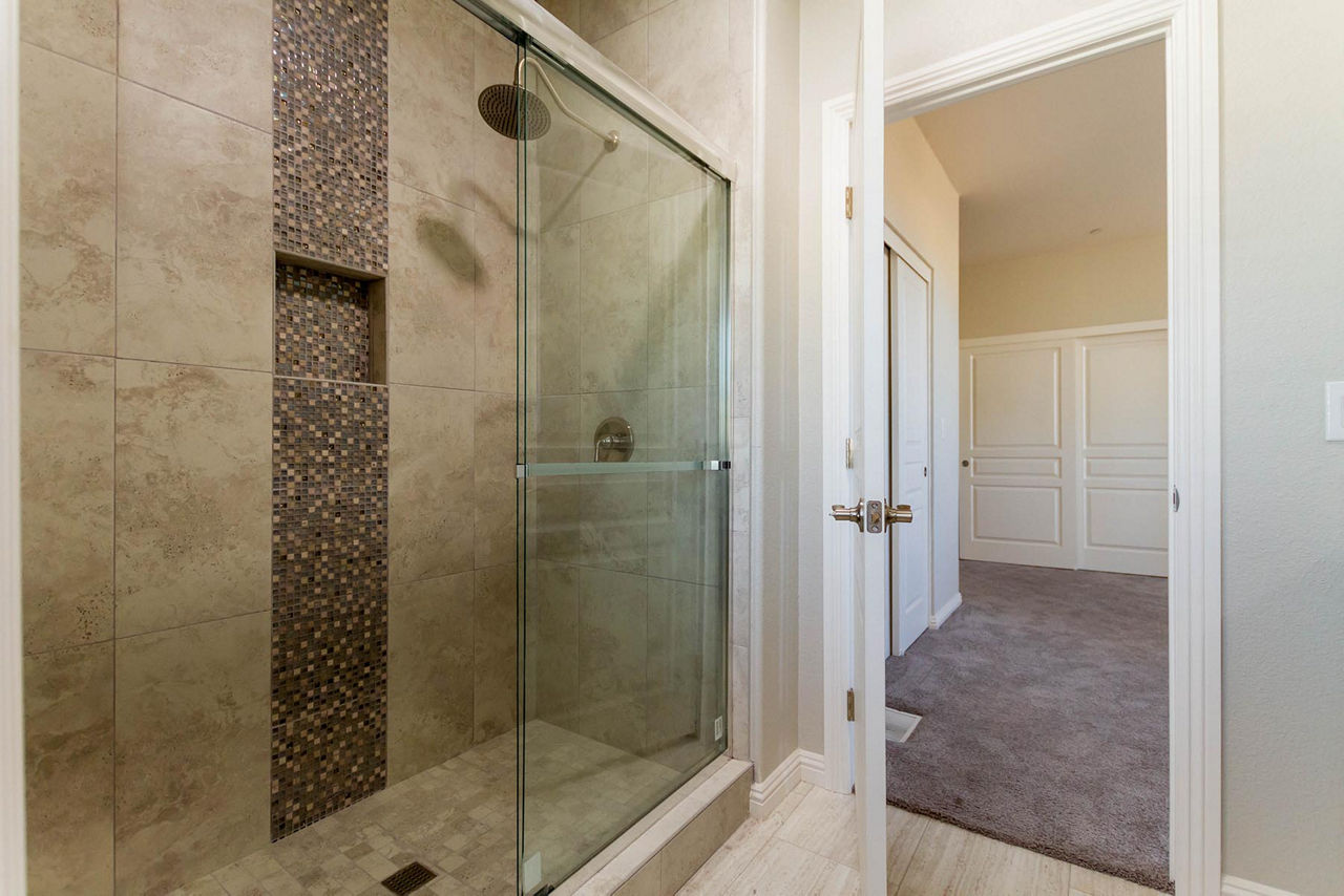 Pacific Trio primary shower v2